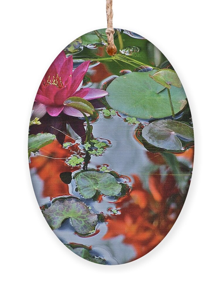 Waterlily: Water Garden Ornament featuring the photograph September Rose Water Lily 1 by Janis Senungetuk