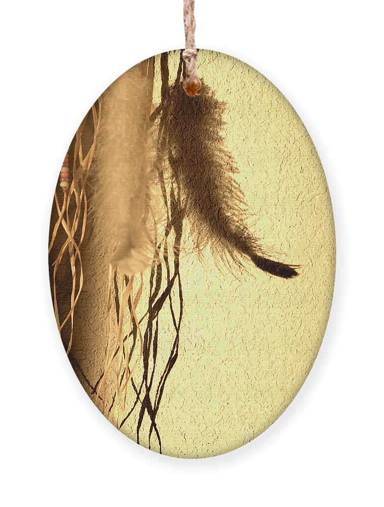 Feather Ornament featuring the photograph Shadow and Light by Kae Cheatham