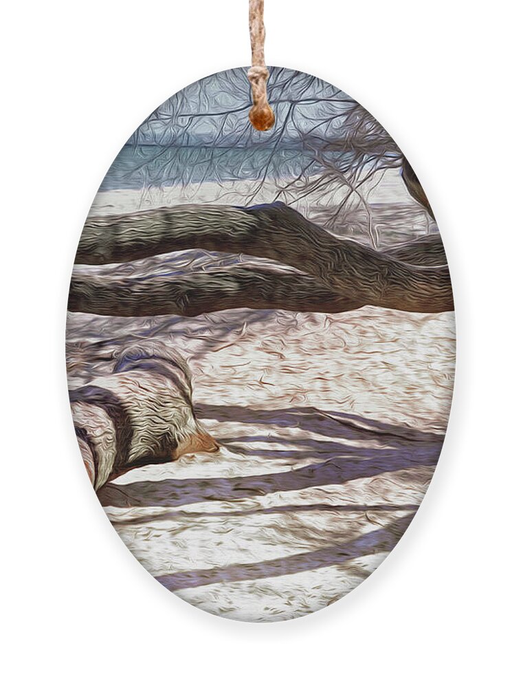 Logs Ornament featuring the photograph Shadows by Pennie McCracken