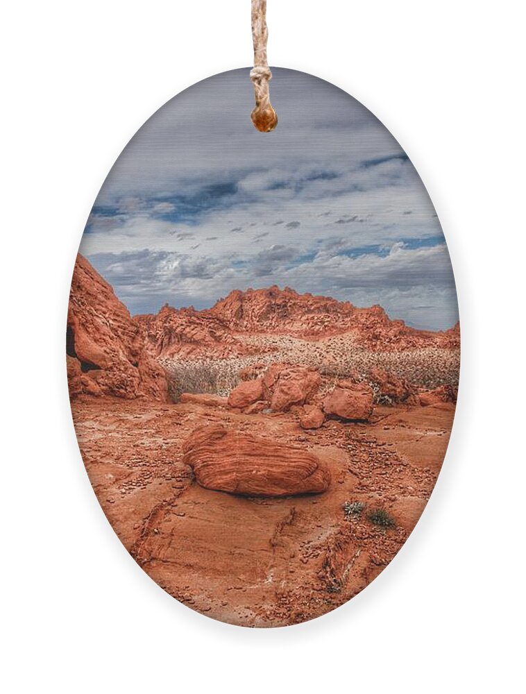  Ornament featuring the photograph Shelter in the Desert by Rodney Lee Williams