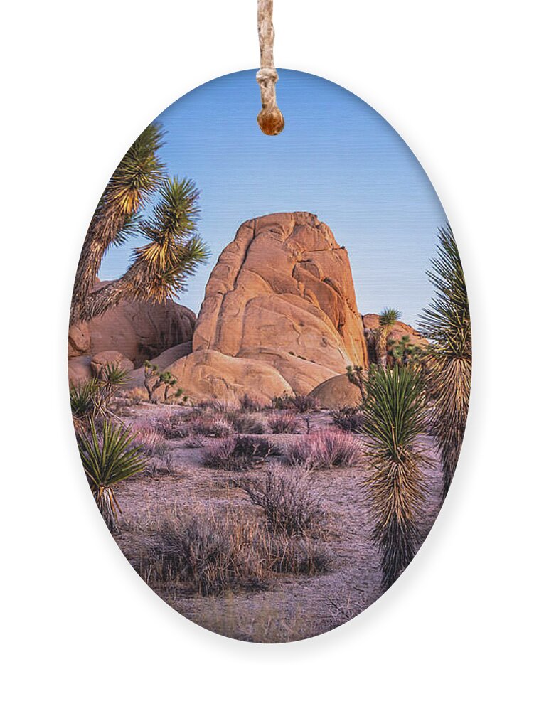 California Ornament featuring the photograph Shot in the Dark by Peter Tellone