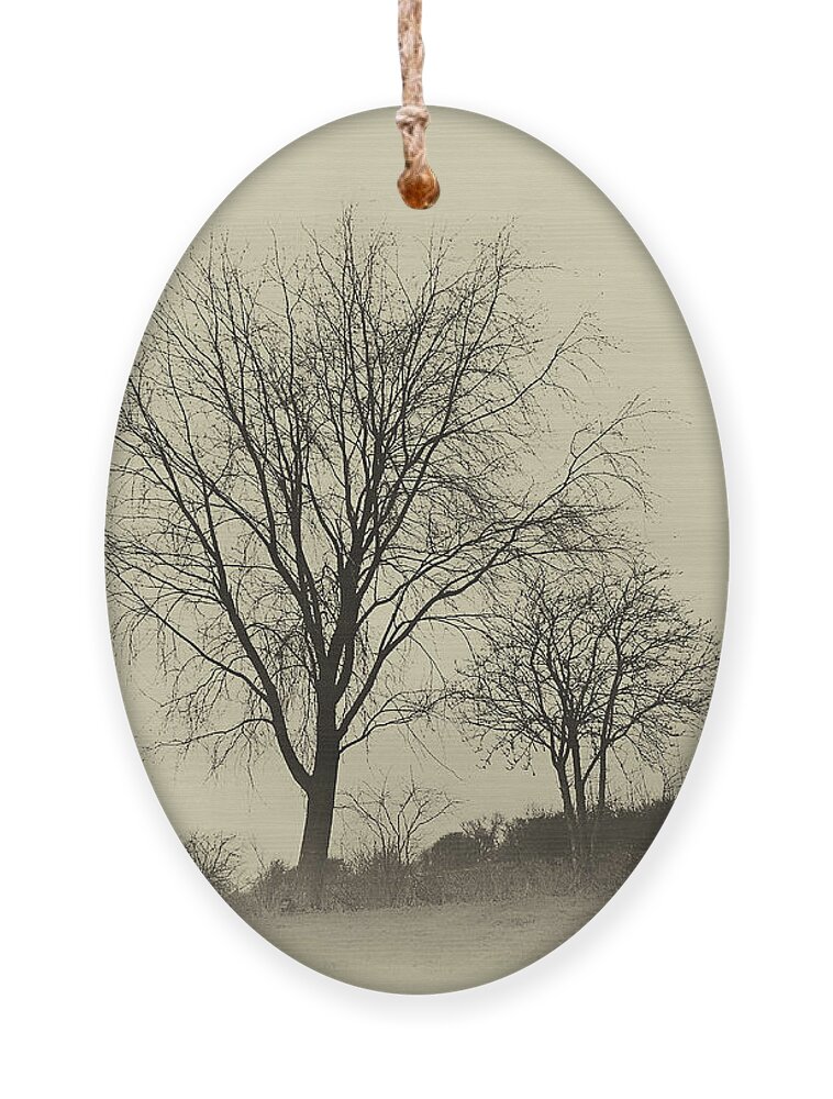 Lovely Ornament featuring the photograph Silence Winter Landscape by Eva-Maria Di Bella