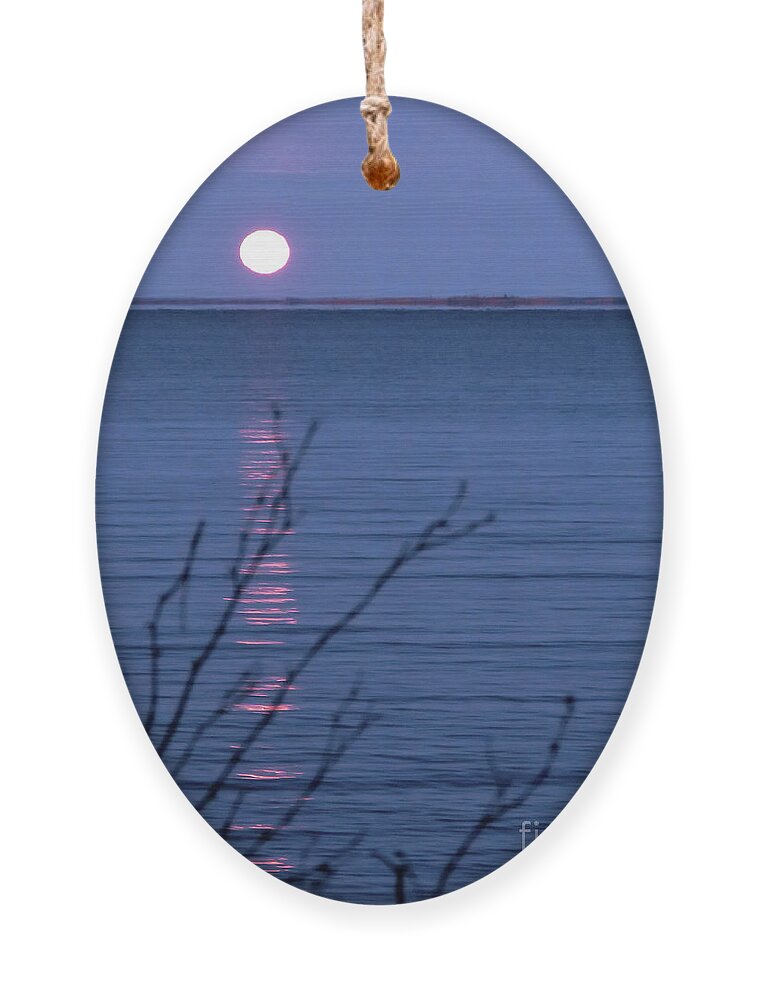 Canada Ornament featuring the photograph Silent Moon Over Water by Mary Mikawoz