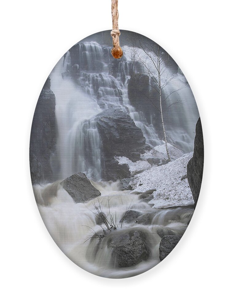 Silver Ornament featuring the photograph Silver Cascade Winter Melt by White Mountain Images