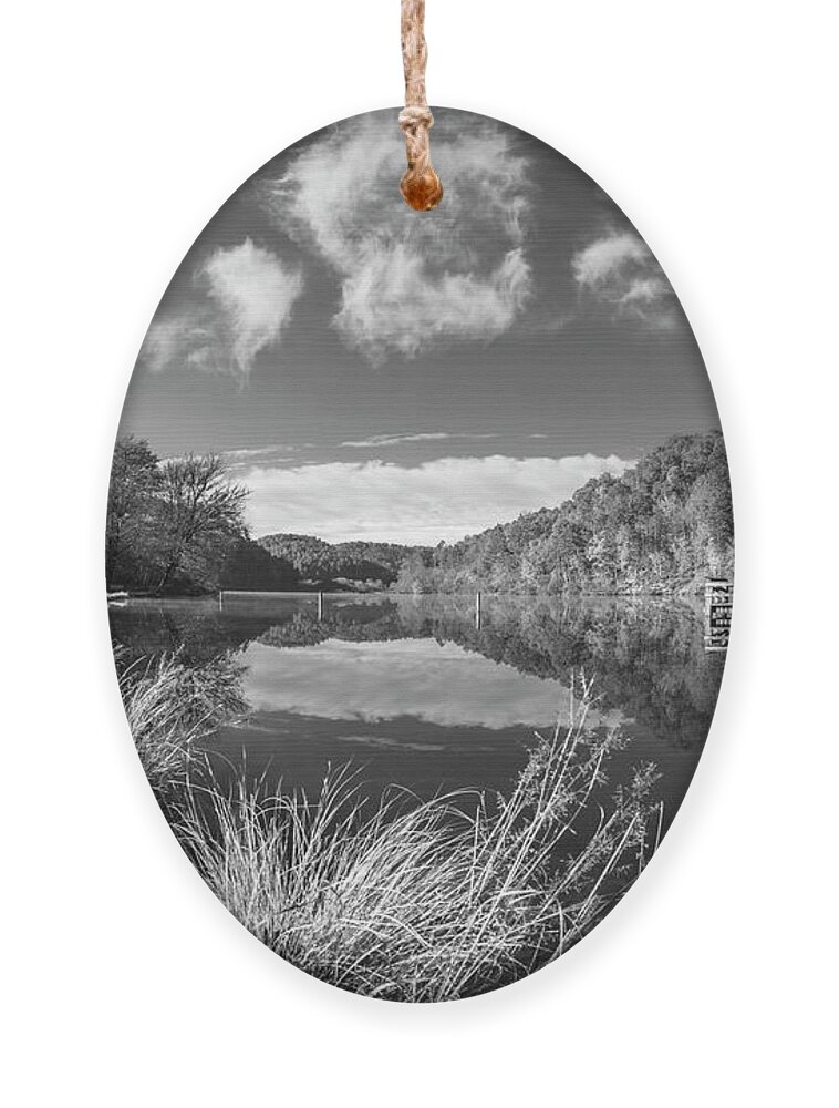 Carolina Ornament featuring the photograph Silver Grasses at the Docks Black and White by Debra and Dave Vanderlaan