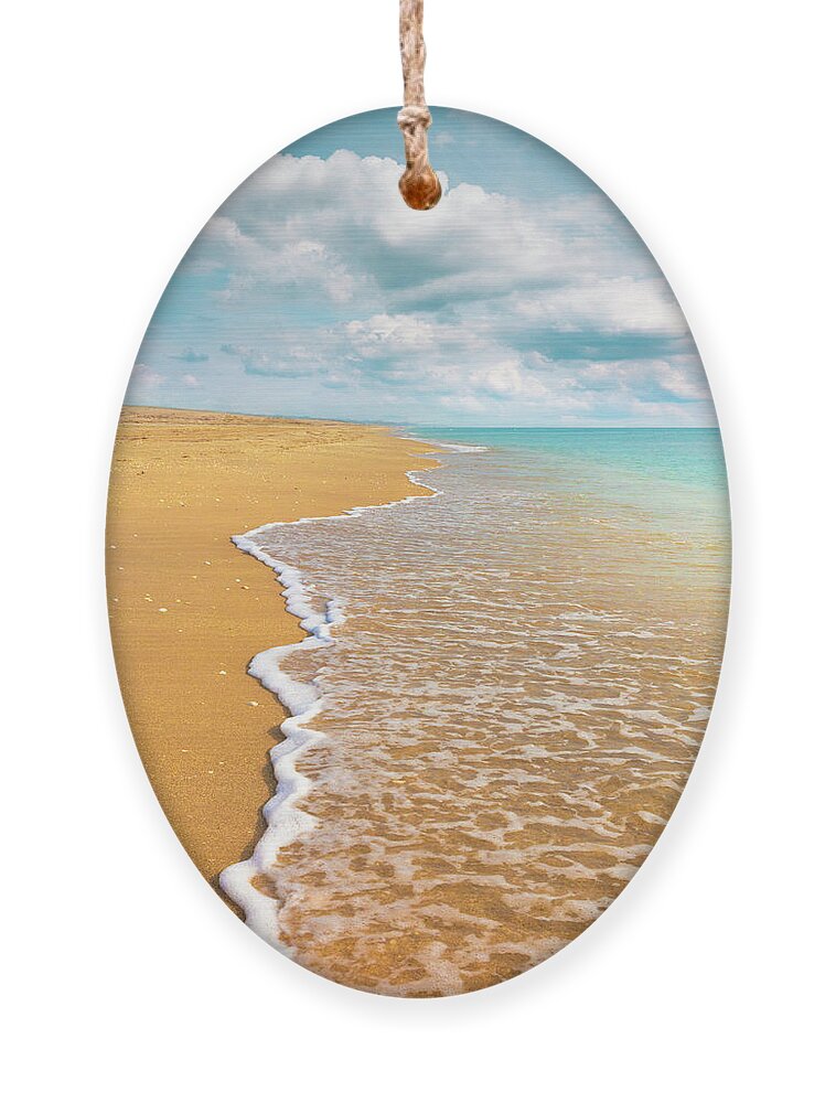 Clouds Ornament featuring the photograph Simplicity by Debra and Dave Vanderlaan