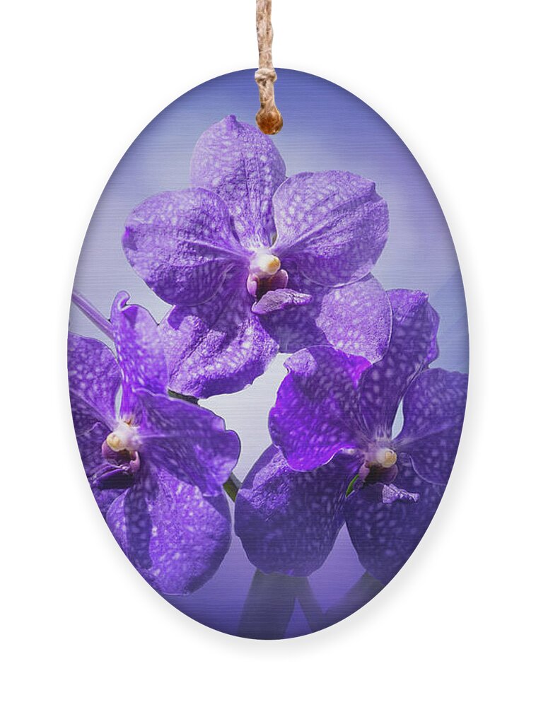 Fairchild Ornament featuring the mixed media Simply Purple by Ed Taylor