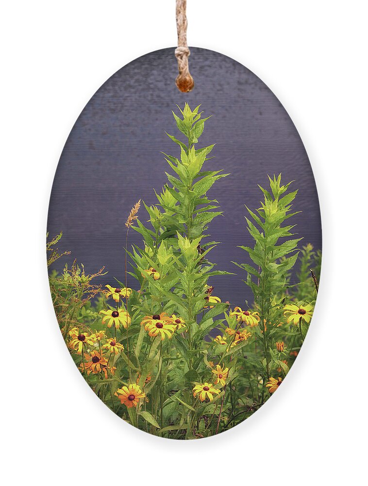 Wildflowers Ornament featuring the photograph Sims Pond Blooms - Blue Ridge Parkway by Susan Rissi Tregoning