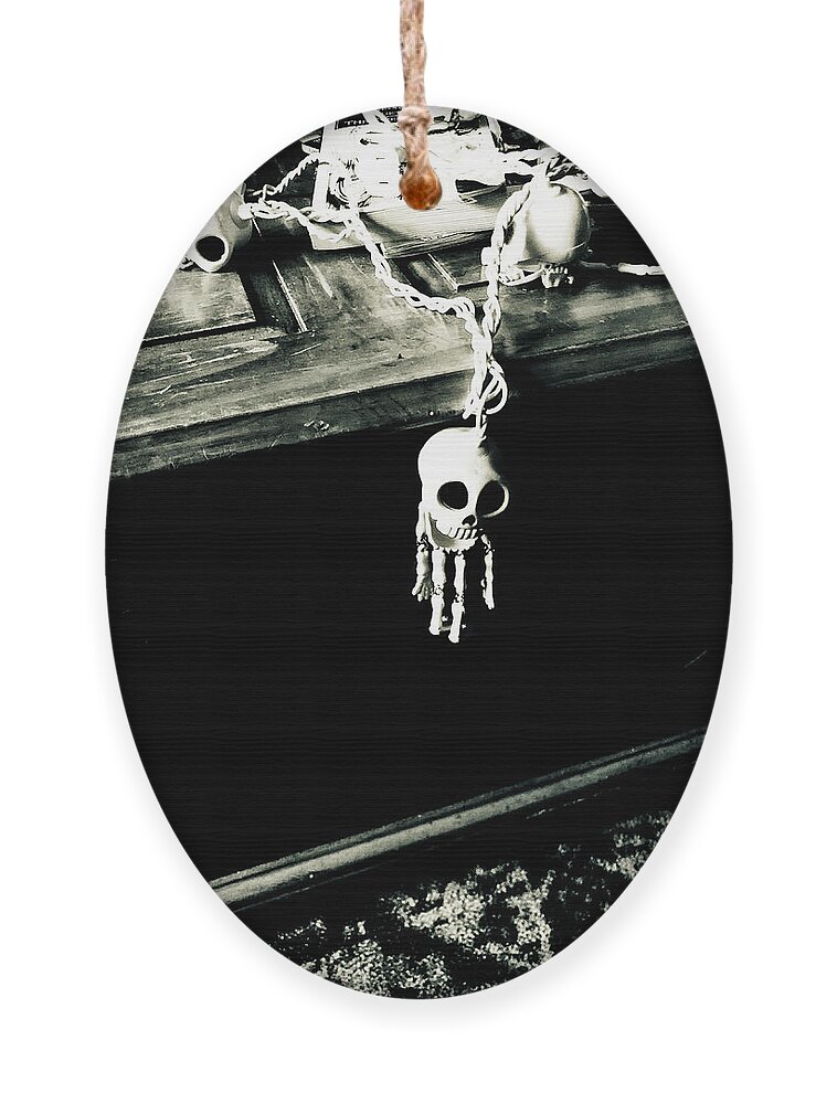 Halloween Ornament featuring the photograph Skeletons by Grey Coopre
