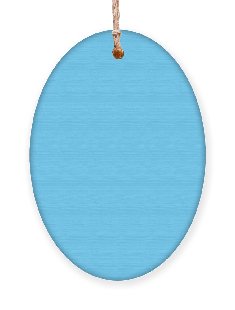 Sky Ornament featuring the digital art Sky Blue Solid Color match for Love and Peace Design by Delynn Addams