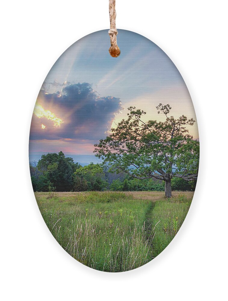 Sunset Ornament featuring the photograph Skyline Rays by C Renee Martin