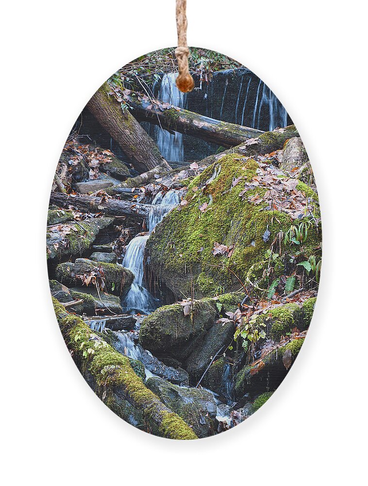 Tennessee Ornament featuring the photograph Small Waterfall by Phil Perkins