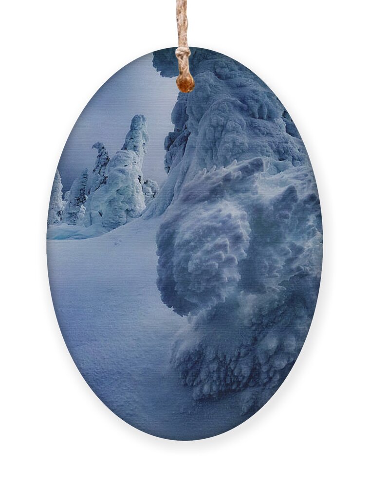 Tree Ornament featuring the photograph Snow Covered Trees 5 by Pelo Blanco Photo