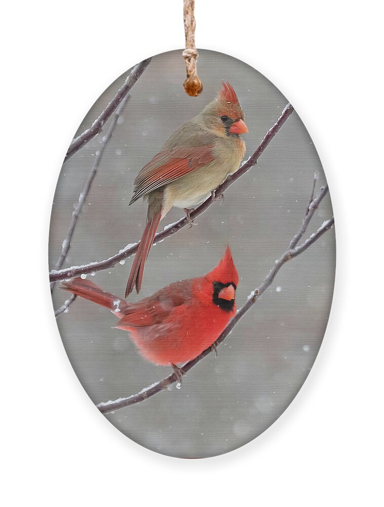 Snow Ornament featuring the photograph Snow Day by Mindy Musick King