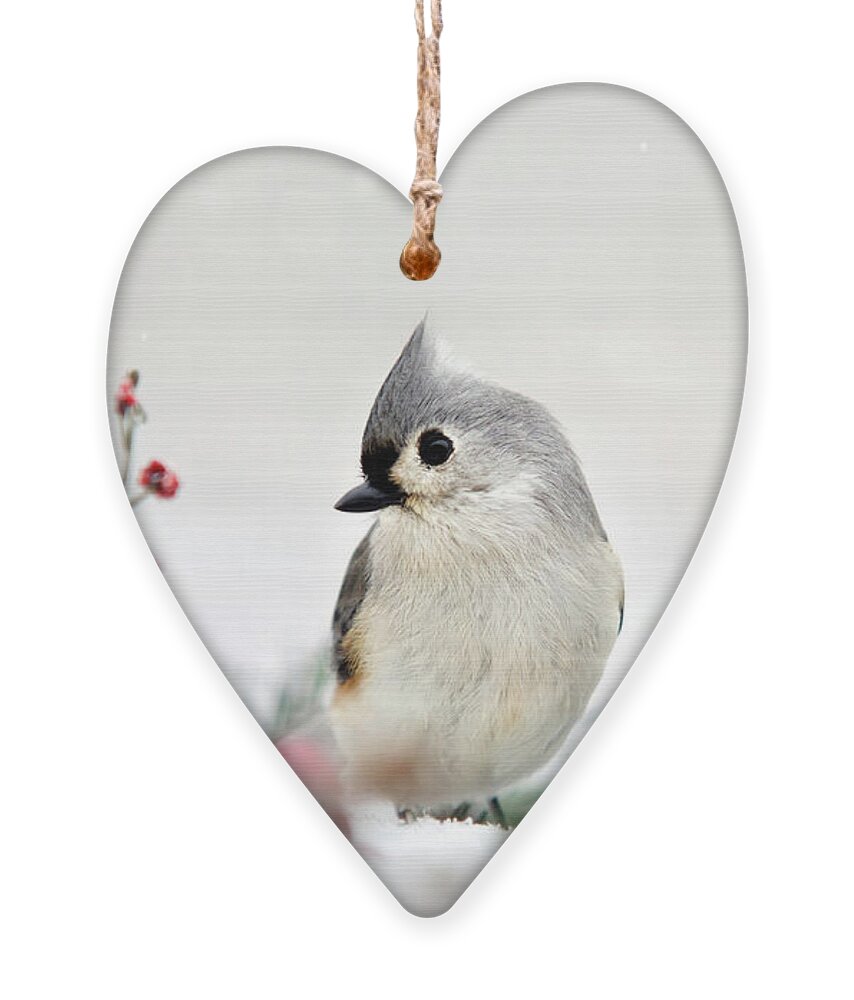 Birds Ornament featuring the photograph Snow White Tufted Titmouse by Christina Rollo