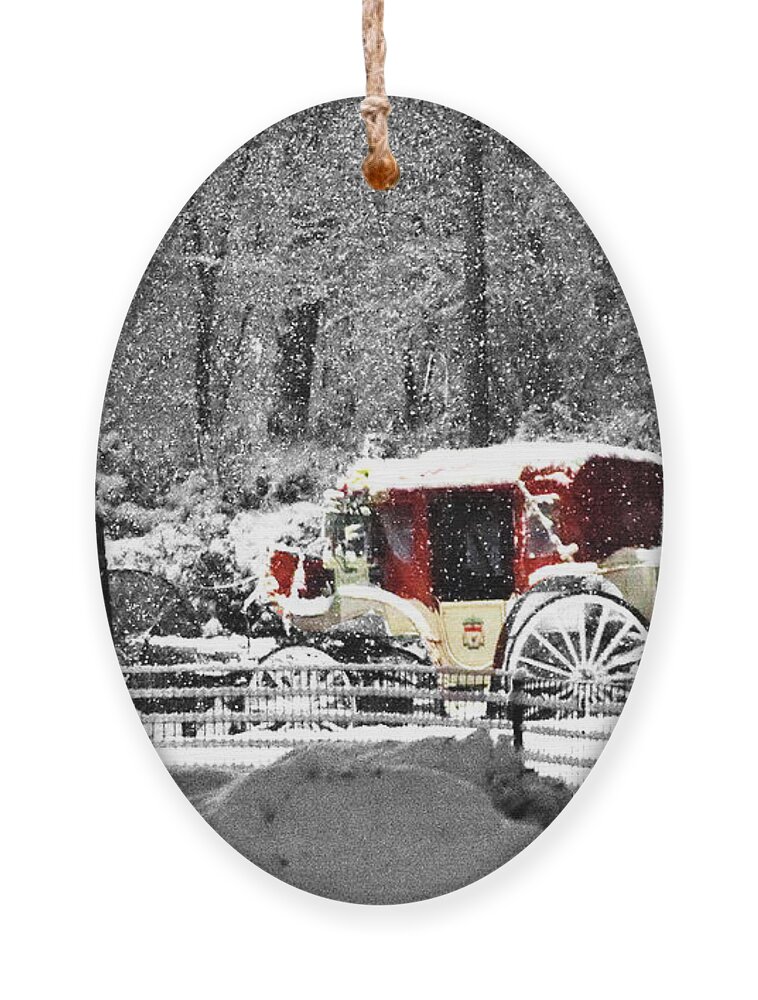 Snowfall Ornament featuring the photograph Snowy Night - A Central Park Impression by Steve Ember