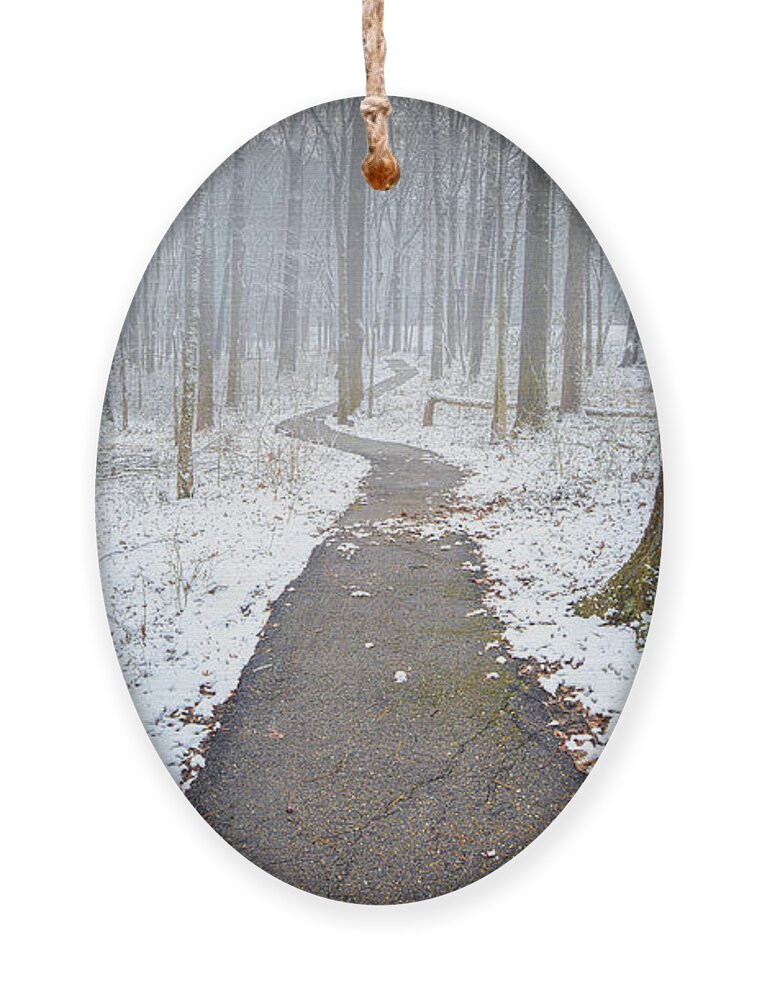Snow Day Ornament featuring the photograph Snowy Woodland by Jordan Hill