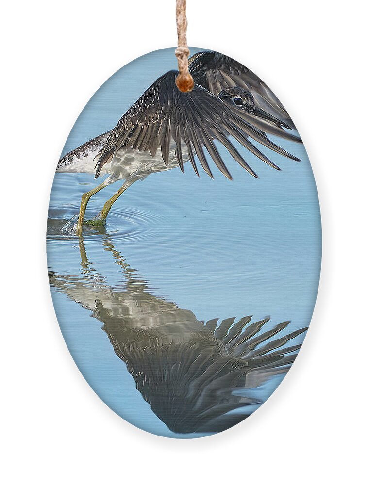 Chevalier Solitaire Ornament featuring the photograph Solitary sandpiper by Carl Marceau