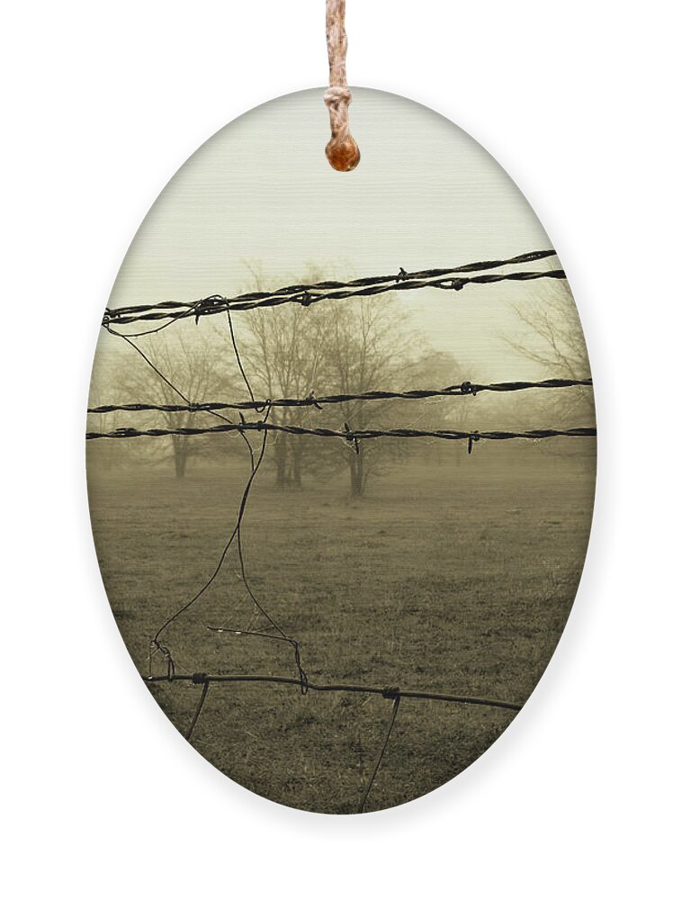 Farm Ornament featuring the photograph Somber Pasture by Lens Art Photography By Larry Trager