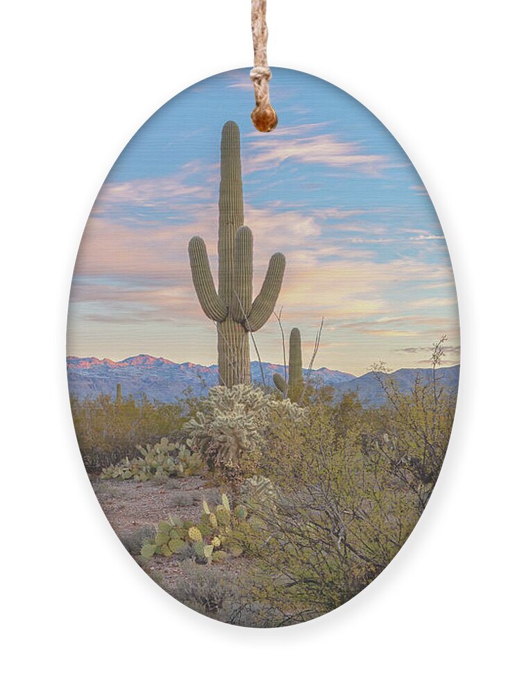 American Southwest Ornament featuring the photograph Sonoran Morning by Jonathan Nguyen