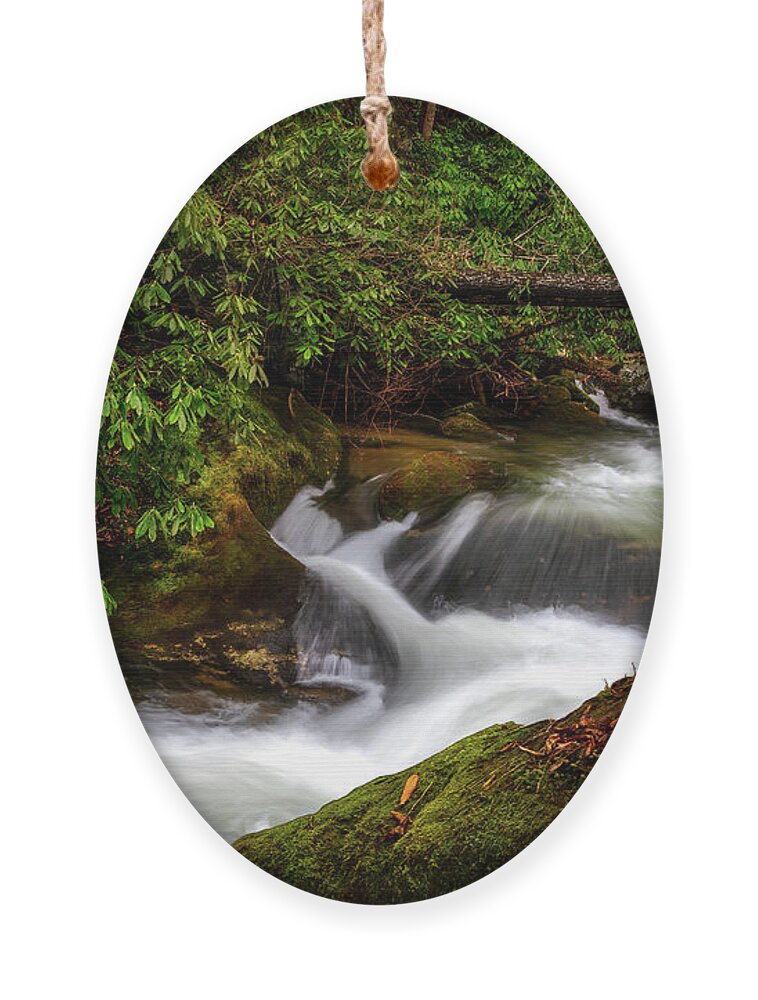 Indian Creek Ornament featuring the photograph South Indian Creek by Shelia Hunt