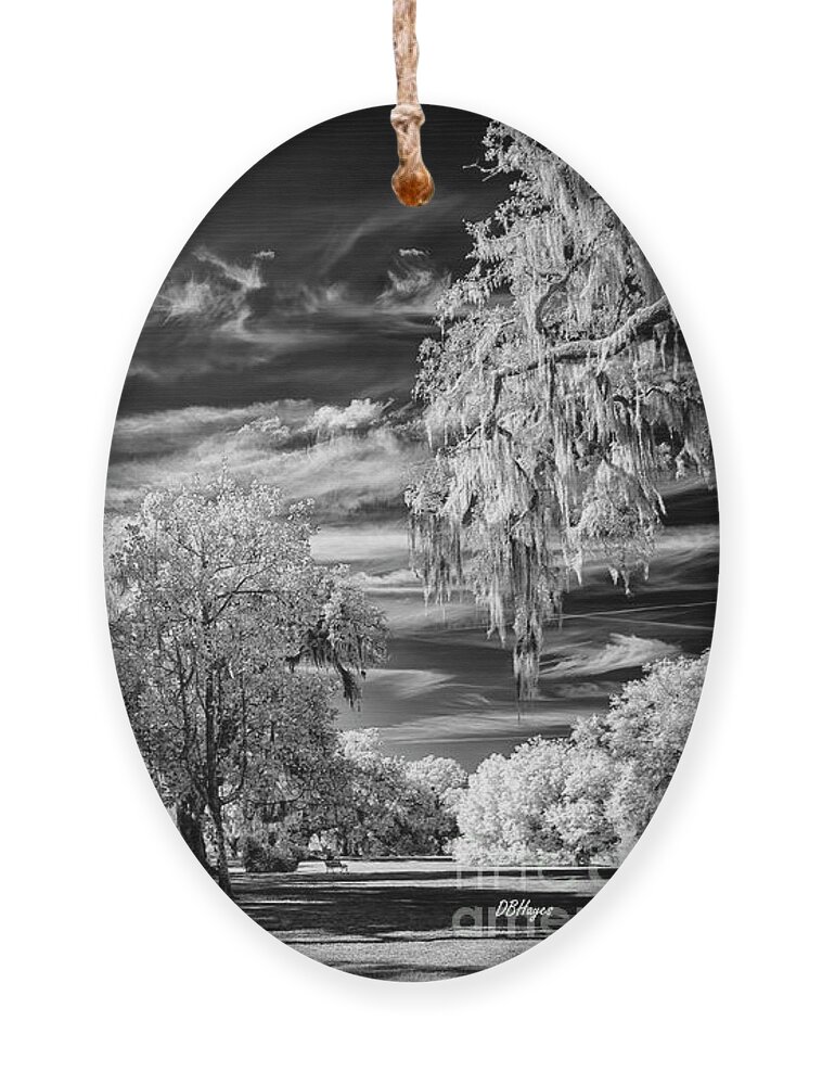 Black & White Ornament featuring the photograph Southern Charm by DBHayes by DB Hayes