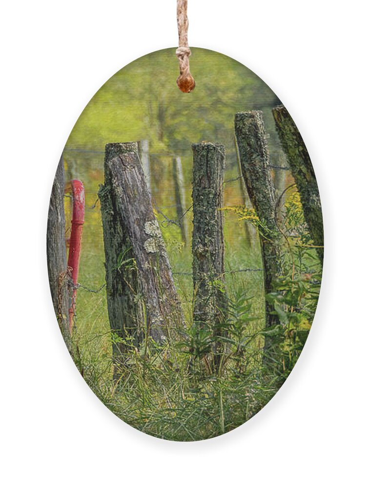 Cades Cove Ornament featuring the photograph Sparks Lane Appeal by Marcy Wielfaert