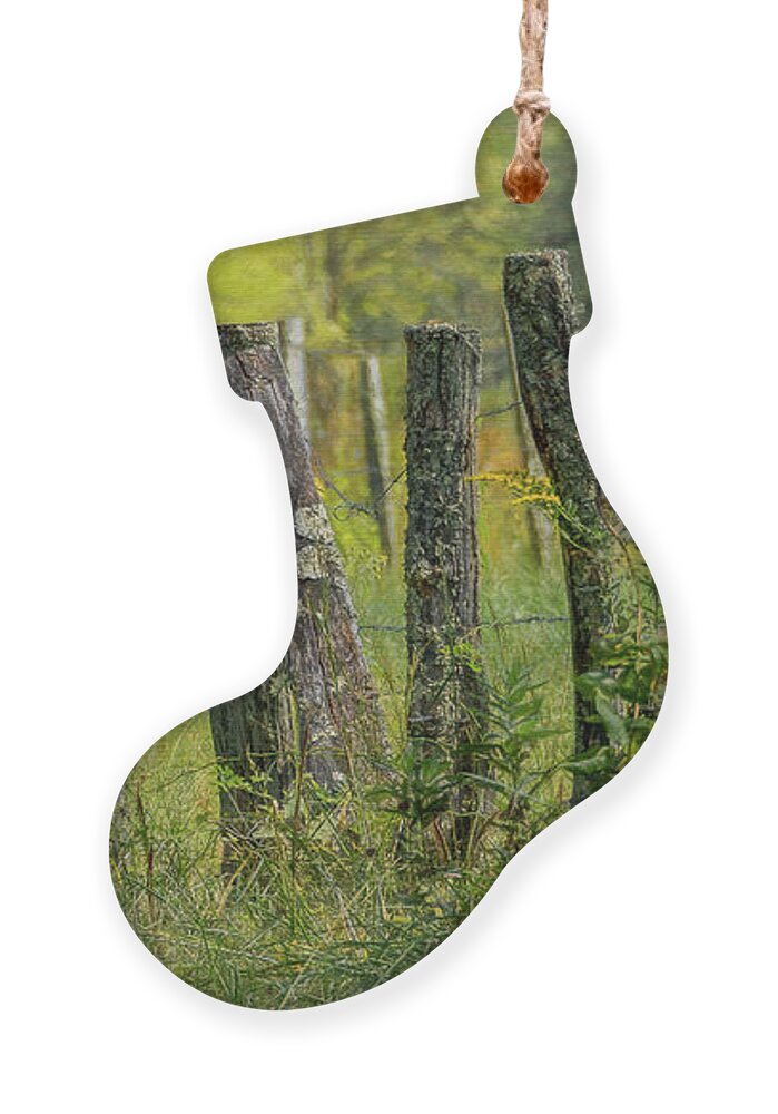 Cades Cove Ornament featuring the photograph Sparks Lane Appeal by Marcy Wielfaert