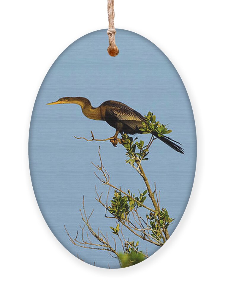 R5-2633 Ornament featuring the photograph Speedster by Gordon Elwell