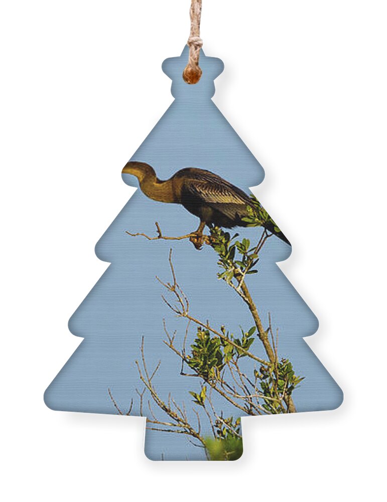 R5-2633 Ornament featuring the photograph Speedster by Gordon Elwell