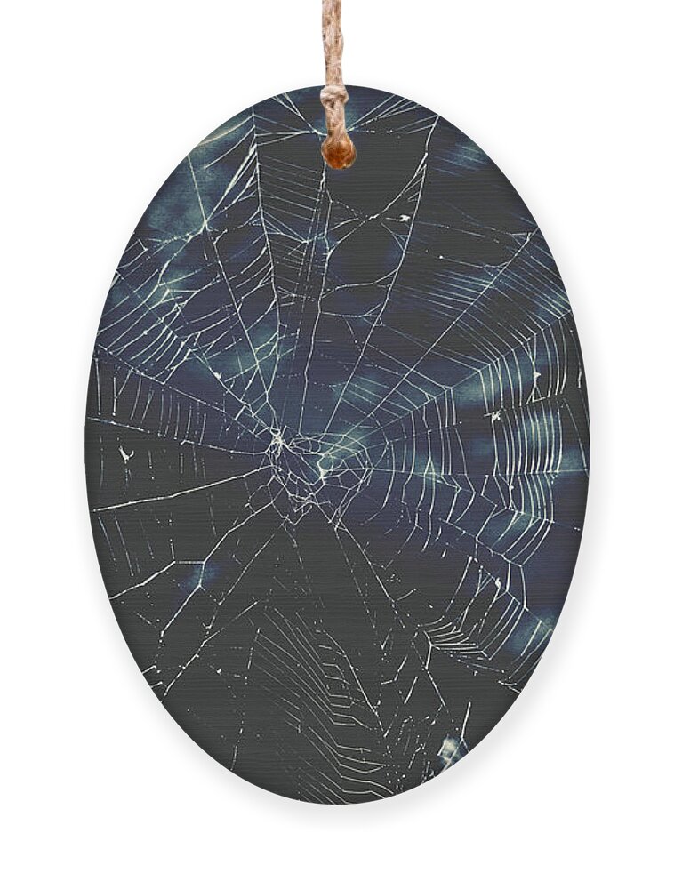 Spiderweb Ornament featuring the photograph Spiderweb Art by Trina Ansel