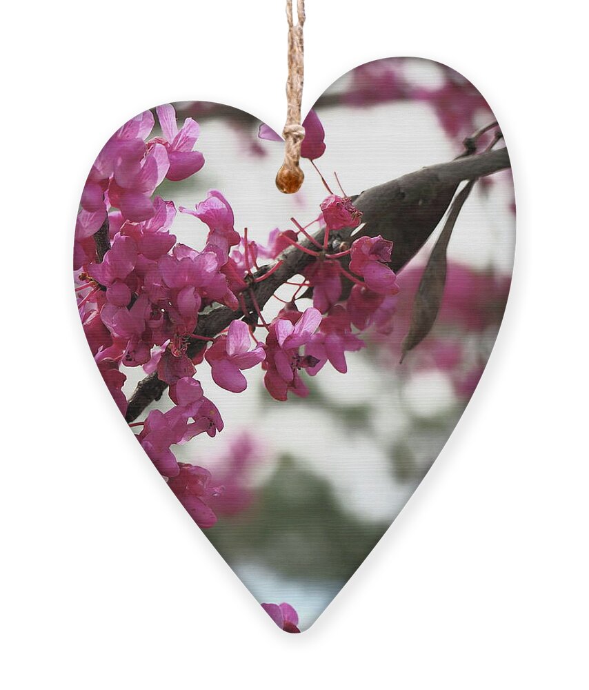 Pink Ornament featuring the photograph Spring Bloom 8 by C Winslow Shafer