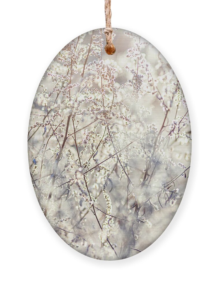 Tree Ornament featuring the photograph Spring Blossoms at Dawn by Amelia Pearn