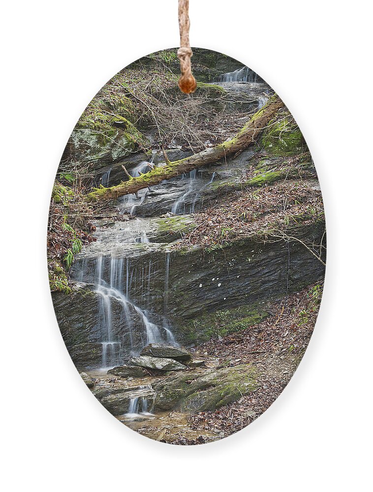 Tennessee Ornament featuring the photograph Spring Fed Waterfall by Phil Perkins