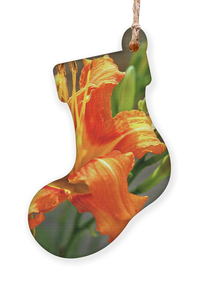Orange Ornament featuring the photograph Spring Flower 14 by C Winslow Shafer