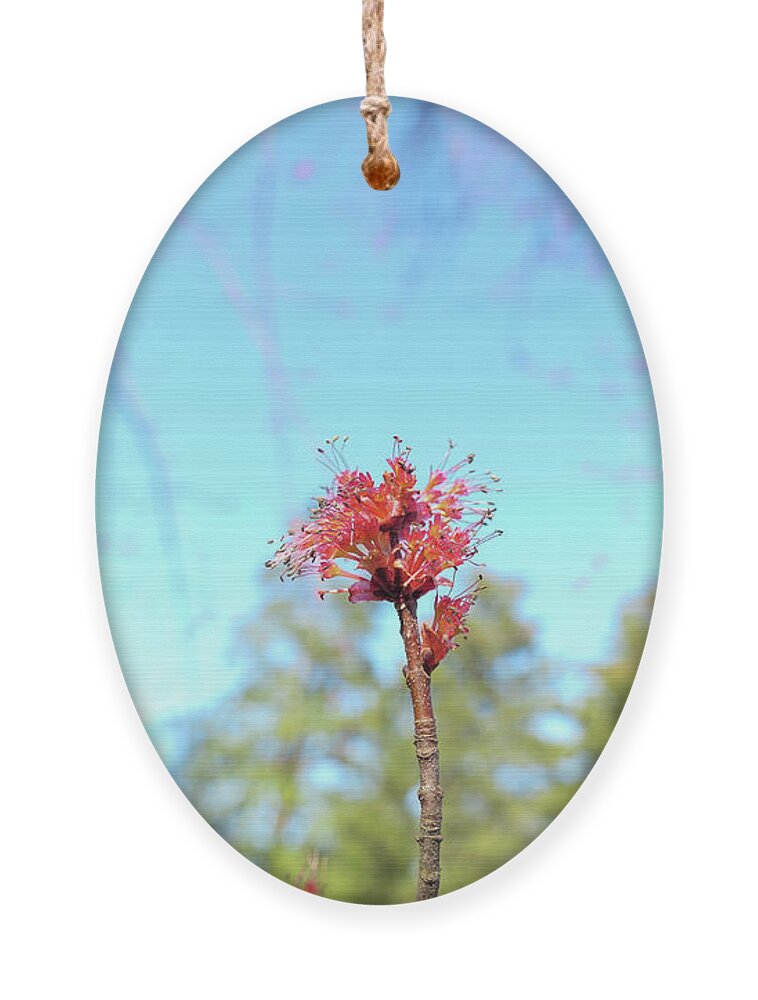 Nature Ornament featuring the photograph Spring is Here by Bentley Davis