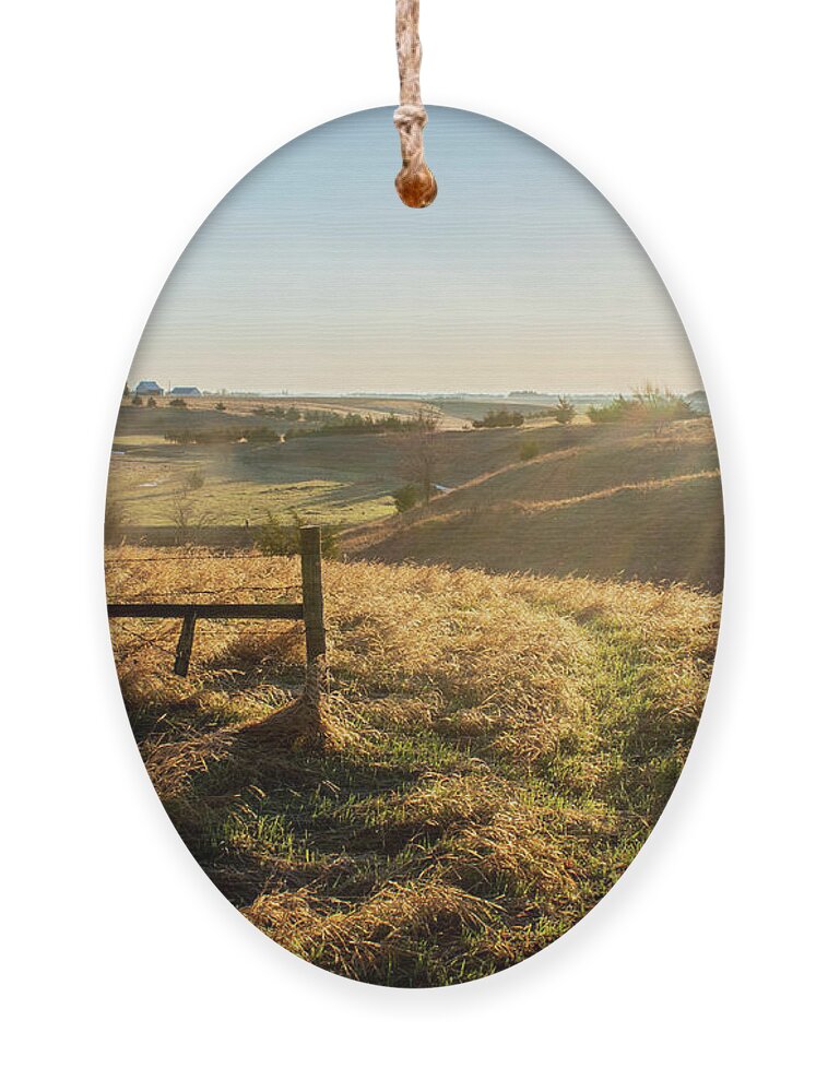 Spring Sun Ornament featuring the photograph Spring Sun by Troy Stapek