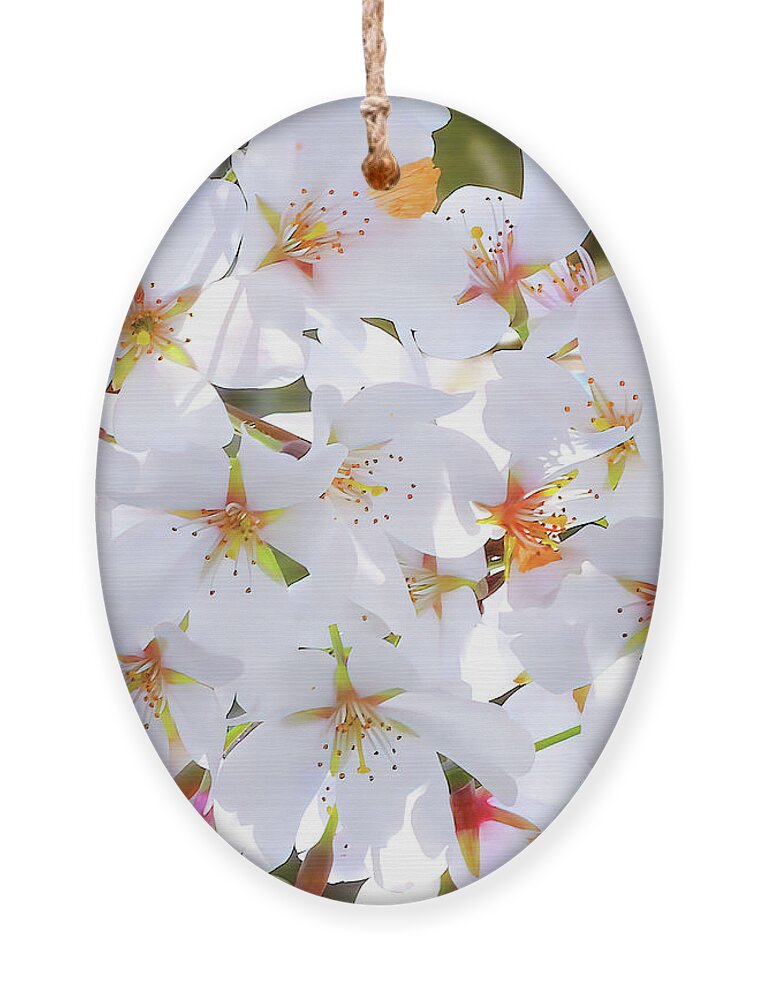 Cherry Blossoms Ornament featuring the photograph Spring Tree Flowers by Scott Cameron
