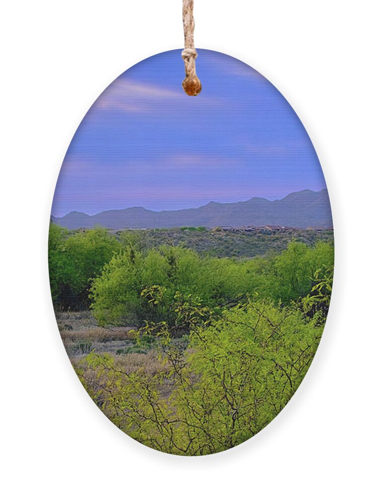 Arizona Ornament featuring the photograph Spring Valley View 25090 by Mark Myhaver