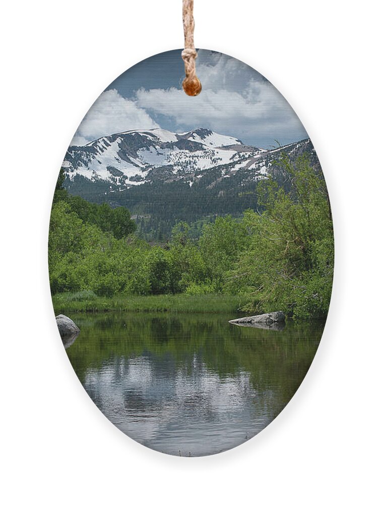 Mammoth Lakes Ornament featuring the photograph Springtime in Mammoth Lakes, CA by Bonnie Colgan
