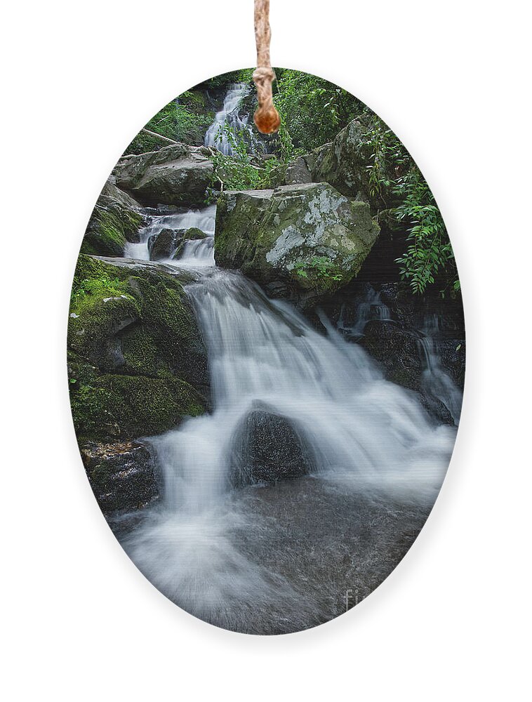 Spruce Flats Falls Ornament featuring the photograph Spruce Flats Falls 21 by Phil Perkins