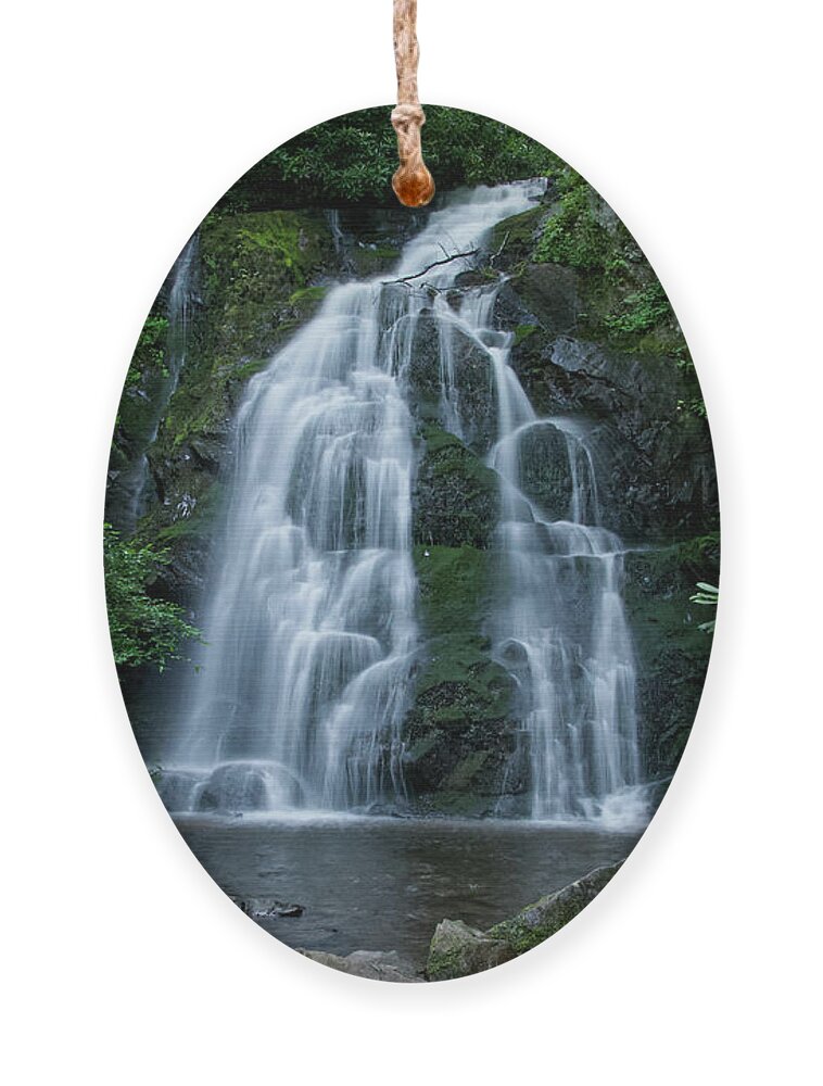 Spruce Flats Falls Ornament featuring the photograph Spruce Flats Falls 22 by Phil Perkins