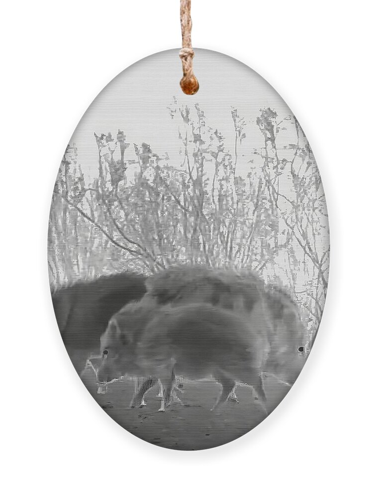 Javelina Ornament featuring the photograph Squadron by Judy Kennedy