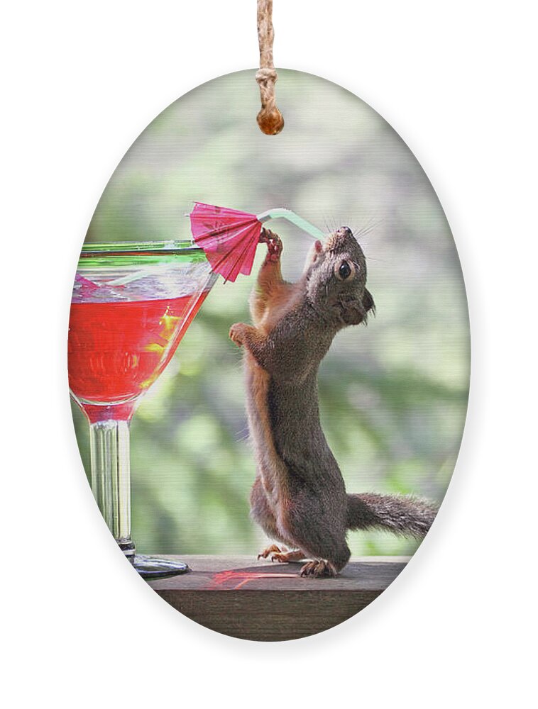 Squirrels Ornament featuring the photograph Squirrel at Cocktail Hour by Peggy Collins