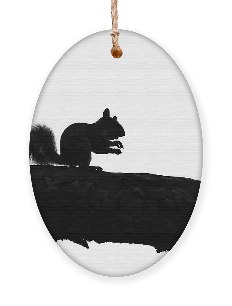 Georgia Ornament featuring the photograph Squirrel Silhouette by Jennifer Robin