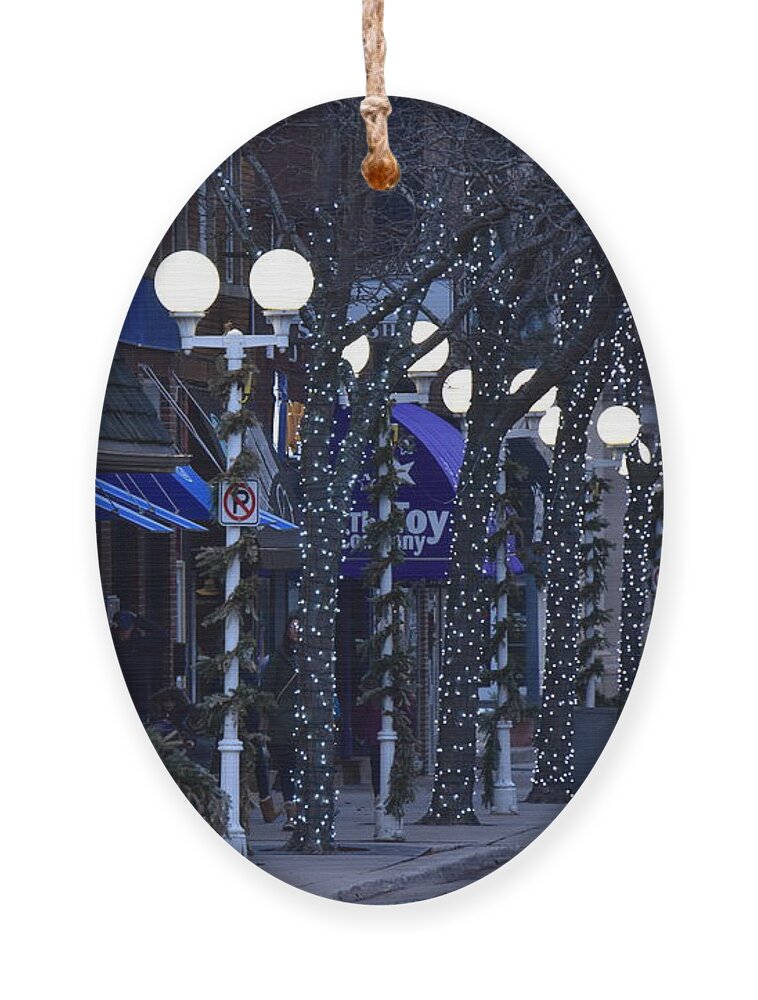Christmas Ornament featuring the photograph St Joseph Lights by James Lloyd