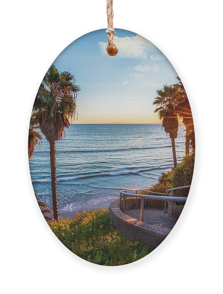Beach Ornament featuring the photograph Stairway to Swami's Beach by David Levin