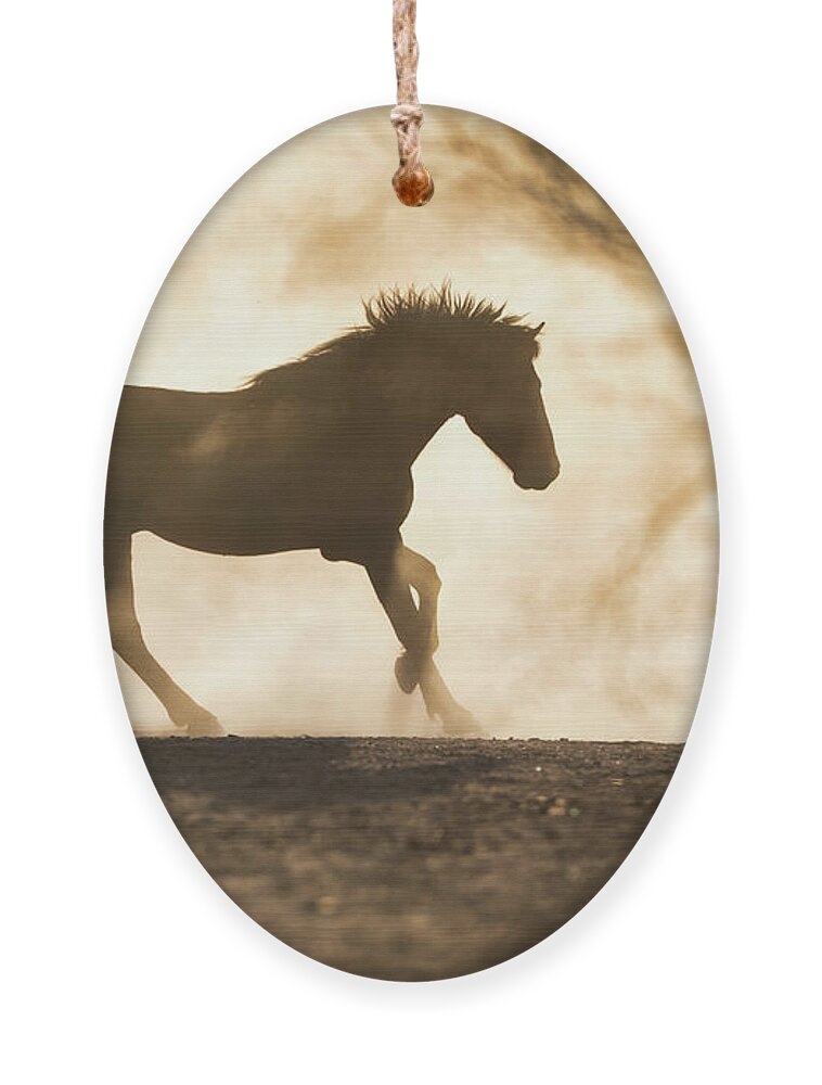 Stallion Ornament featuring the photograph Stallion Pose by Shannon Hastings