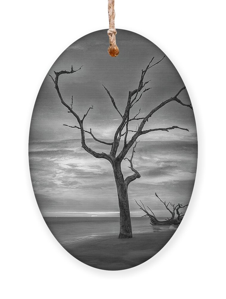 Clouds Ornament featuring the photograph Standing Alone on Jekyll Island Driftwood Beach Black and White by Debra and Dave Vanderlaan