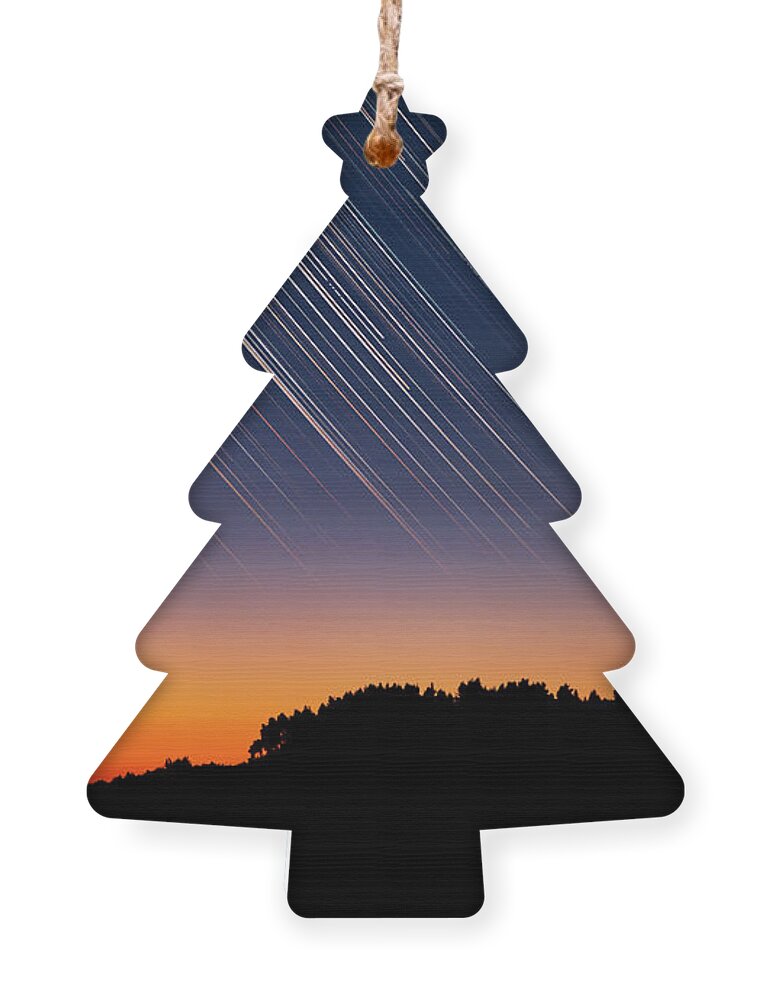 Star Trails Ornament featuring the photograph Star Trails over Tree Silhouettes by Alexios Ntounas